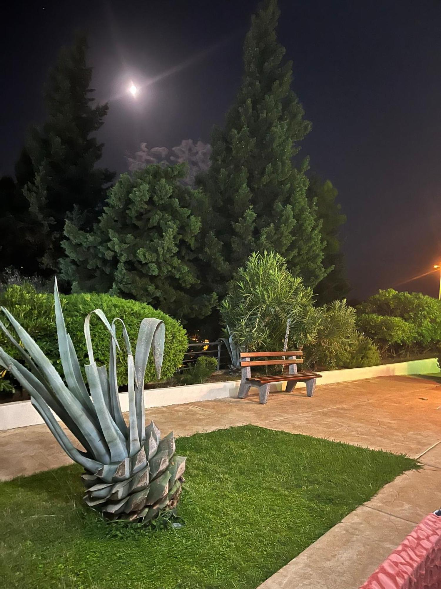 Adriatic Apartman Bečići Екстериор снимка